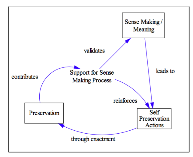 SenseMaking